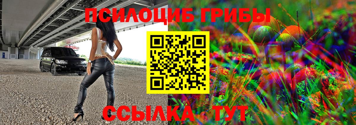 Псилоцибиновые грибы MAGIC MUSHROOMS  Вход с VPN  Псилоцибиновые грибы Psilocybine cubensis  Элиста 