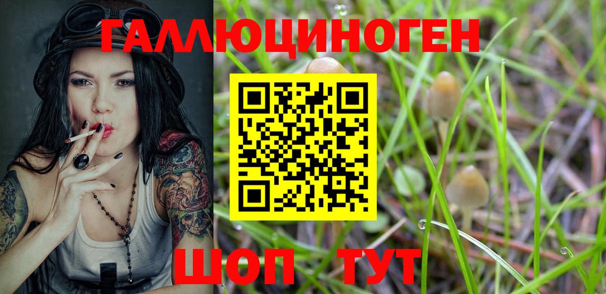 Галлюциногенные грибы GOLDEN TEACHER Элиста